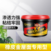 Rubber jin zi can long-term environmental quick-drying efficient du lou wang roof roof trap moisture does not delaminate fang shui gao