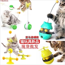 Pet supplies new Amazon explosions balance swing car cat toys teasing cat toys cat supplies
