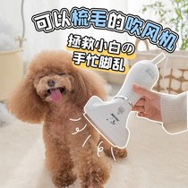 Pet hair dryer Hair pulling machine Dog hair blowing artifact Small dog cat bath blow dry water blowing machine