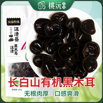 Taoyuan Wang Qing black fungus 245 grams first grade Jilin Changbai Mountain specialty dry goods organic meat thick rootless