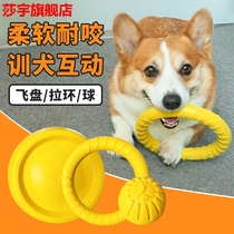Pet dog toy Frisbee Flying saucer Boredom artifact supplies Bite-resistant molars Corgi side animal toy ball Bouncing ball
