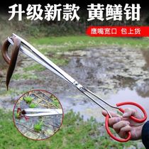 New Stainless Steel Eel clip eel clip Loach crab pliers anti-skid grab tools to catch the sea artifact