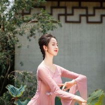 Chinese dance classical dance national modern dance dance performance practice uniform female adult gauze dance costume