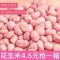 2020 new goods(loss-making peanut special)White sand peanut new pink skin peanut peanut cheap