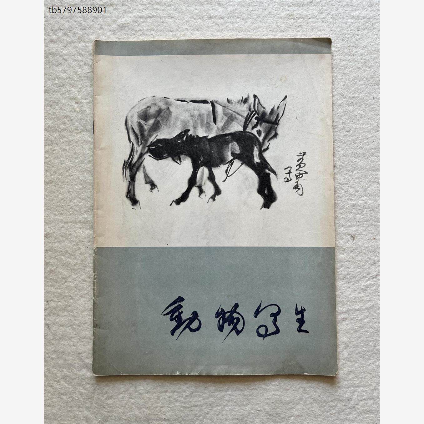 黄胄-黄胄促销价格、黄胄品牌- 淘宝