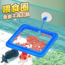 Feeder Feeding ring anti-floating guppy fish feeding ring aquarium fish fish food feeding feeder