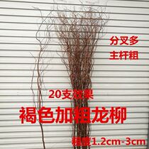Fresh Dragon strips dry branches fresh Dragon Willow preparation heart-shaped hand flower wedding arch special willow branch decorative branches