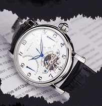 Seagull Watch Fashion Automatic Machinery Luminous Flywheel Hollowed-out Large-cap Mens Wrist Watch 819316819317