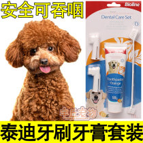 Teddy special pooch toothbrush toothpaste suit small dog to dental calculus except for a stingy tooth cleaning can be eaten