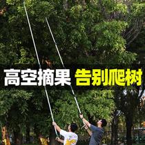 Fruit Artificial Loquat Cherry Long Eye Lichen Fruit Pictor High Chip Shipping Ship