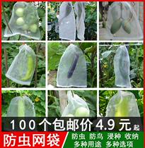 Nylon mesh bag seed bag seed bag soak seed bag insect bag pitaya bag insect bag pitaya bag breeding bag snake bag