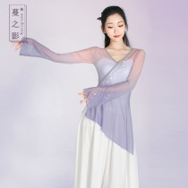 The shadow of the Vine Classical Dance Dance Dance Uniform uniform female body charm gauze dress fairy gradient hot diamond art test coat female