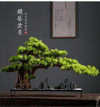  Simulation welcome pine bonsai Office living room Fake tree decoration Green plant home entrance Hotel soft decoration landscaping