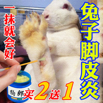 Rabbit foot dermatitis medicine sole rot fungus infection pruritus hair loss red swelling ulceration tinea pedis special ointment not afraid to lick