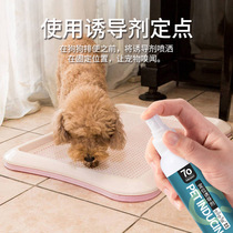 Pooch Toilet Inducers Dog Bowels to relieve urine Pet Pet Pet Targeted Defecation Inducers