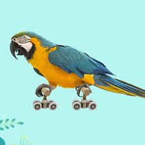 2 Pcs Parrot Trick Tabletop Mini Roller Ice Skates