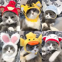 Cat Headgear Cat Headgear Cat Headgear Dog Teddy Fadou Koki Headwear Douyin Cute Funny Pet Helmet Pet Helmet