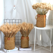 Seagrass woven straw handle flower basket flower arrangement vase containing wheat ear rabbit tail Reed dried flower non-rattan bamboo woven