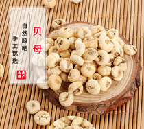 Tibetan Wild Fritillaria Nyingchi Plateau Specialty Wild Tibetan Fritillaria Sulfur-Free Smoked 50g Two Get One Three Get Two Free