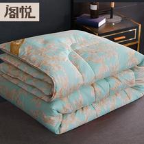 Four seasons universal quilt silk cotton quilt core spring and autumn winter air conditioning quilt double light thick warm winter quilt household