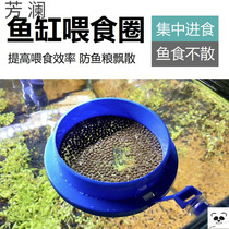 Fish tank combination floating feeding circle fish food Suspended duckweed betta fan gill fish breeding bubble nest