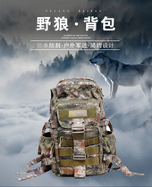 Dragon armor Wild Wolf outdoor travel bag military fans waterproof and wear-resistant backpack mountaineering hiking camping bag