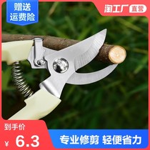 Old-fashioned pruning shears horticultural flower scissors fruit tree branches flower garden flower art scissors seedling orchard manual