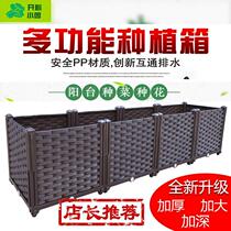 Plant Divine Instrumental Extra-large Balcony Vegetable Planting Box Home Rectangular type Vegetable Basin Flower-flower Flower Trough