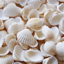  White shell material Mediterranean home decoration wall stickers DIY floor punching