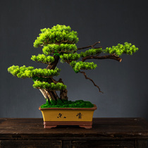 Simulation of welcome pine bonsai living room porch ornaments new Chinese office interior decorations fake tree fake green plant potted plants