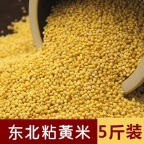 Of new high-5 pounds da huang mi Northeast Peasant glutinous rice stick proso millet production zongzi m viscosity waxy yellow rice mi zi mi