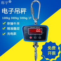 Saiyu electronic crane scale 500kg small hanging pound weighs 300kg hook scale 100kg pig cattle and sheep off weighs 1TOCS