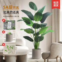 Traveler Banana Simulation Green Plant Fake Tree Indoor Light Luxury Potted Bionic Plant Living Room Decoration Ornament Bird of Paradise Fake Flower