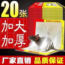 20 sheets of peanut-flavored big mouse stickers strong sticky mouse board super sticky board plus bait glue sticker paper household powerful