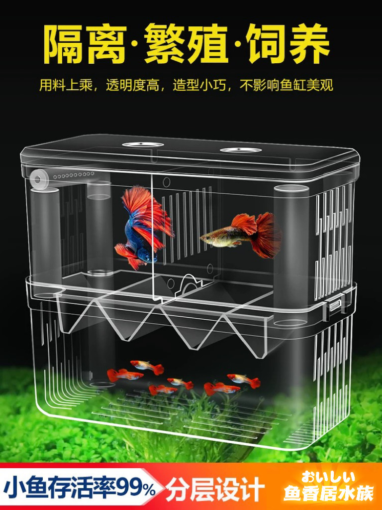 泡泡孔雀鱼玩具-泡泡孔雀鱼玩具促销价格、泡泡孔雀鱼玩具品牌- 淘宝, image size:768x1024