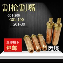 Gas cutting nozzle national standard g01-30100300 ring acetylene liquefied gas propane cutting nozzle No. 1 2 3 gas