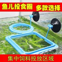 Buoyancy small fish feeder feeding ring aquarium fish food fish feeding ring fish feeding ring