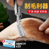 Scrape pig head hair artifact shave pig hair knife stainless steel scraping knife pig head pig feet cattle sheep animal hair removal tool clip