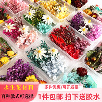 Yongsheng flower dried flower handmade material bag dormitory natural real flower wedding room vase box glue diy salon gift box