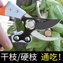 Fruit Tree Graft Special Knife Graft Knife Suit Fruit Miao Wood Botanical Garden Forest Coarse Branch Grafting Machine Marry Trimming Scissors