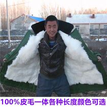 Sheepskin cotton coat fur one men's winter cold-proof warm cold storage northeast night shift sheepskin coat cotton coat