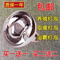 Export quality 275W Bath bulb 100w150 tile 250W infrared bulb waterproof explosion-proof heating bubble