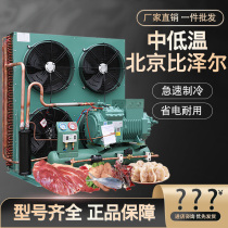 Beijing Bizel Cold Bank Refrigeration Unit Food Preservation Refrigeration Depot Freezer Compressor Complete equipment