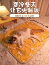 Pet Electric Blanket Dog Cat Kitty Bedding Thermostatic Warm Cat Cat Small Waterproof Electric Warmer Cat With Heating Pad