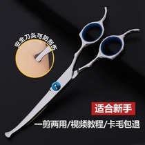 New Hands Safe Pets Beauty Scissors Dogs Special Hairy Bent Cut Dog Hair Tools Suit Professional Sheen Swoon