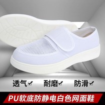 Shoes PU thickened soft bottom male and female summer breathable mesh surface canvas dust-free electronic factory workshop working shoes #