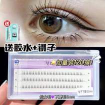 Art Research Nai Eyelash Fake Eyelash Fake Eyelash Woman 5mm Supernatural emulation Andromeda Airy Single Tumulina type Grafting Segna