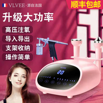 France VLVEE Ultrasonic Beauty Instrument Facial Massage Instrument Export Import Tonic Water Tender Skin Oxygen Instrument Home