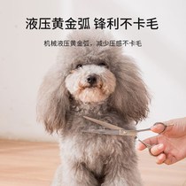 Tool Scissors Theologie Fur Pet Beauty Bend Cut Professional Dental Cut Teddy Pooch Suit Cut Dog Hair yourself A