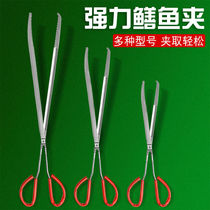 Stainless steel yellow eel special new clip lobster crab cramp lengthened anti-slip grip mud loach pliers catch-up tools